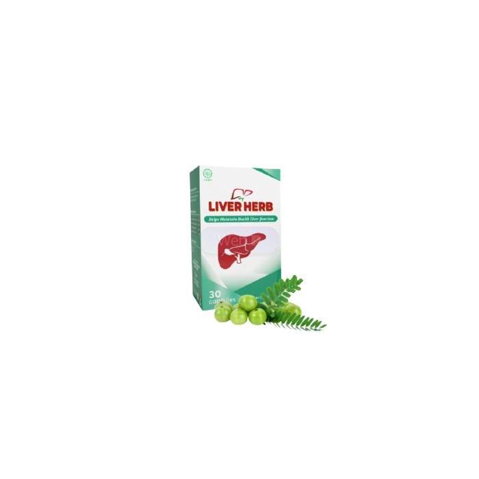 Liver Herb - capsules for liver diseases in Cirebon