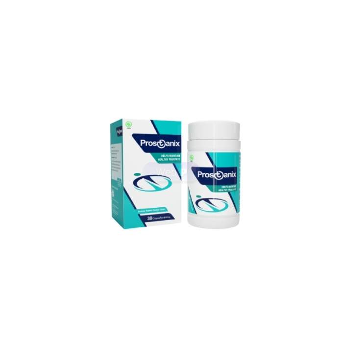 Prostanix - capsules for prostatitis in Cockroach