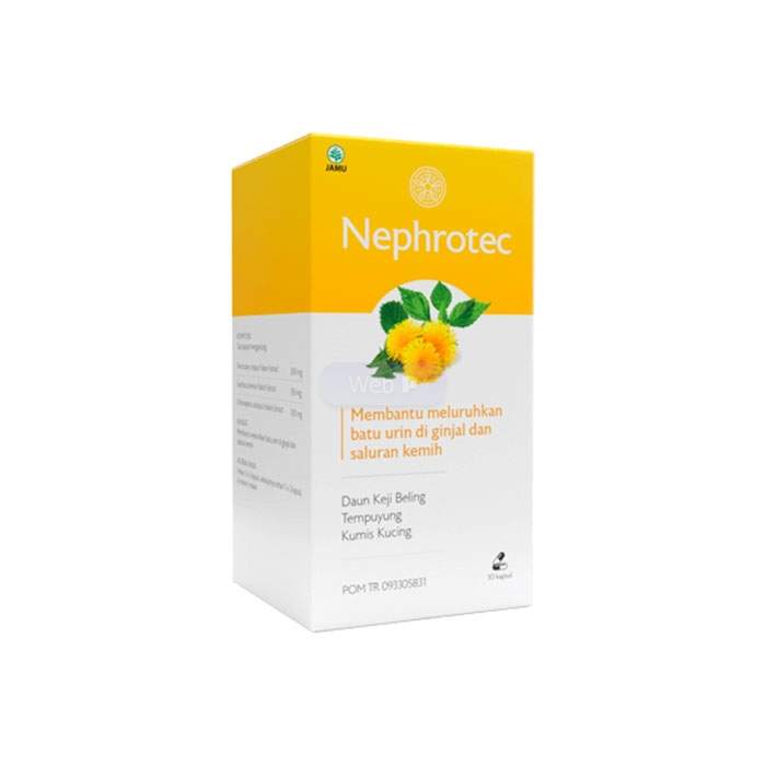 Nephrotec - kidney stone capsules in Jember