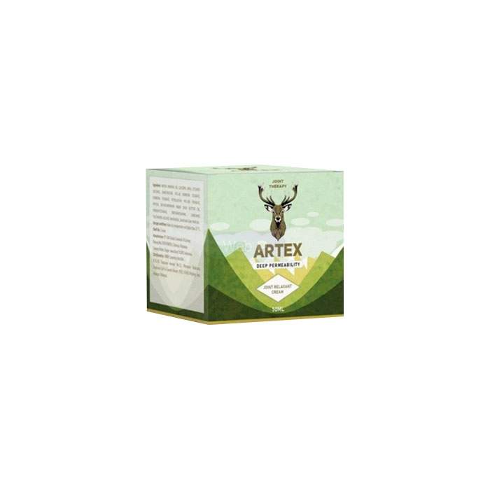 Artex - joint health remedy in Pankalpinang