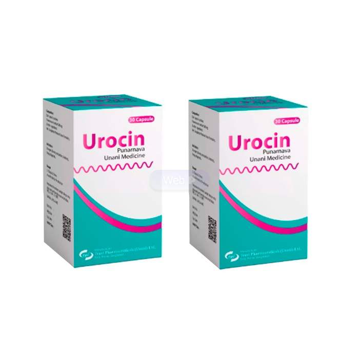 Urocin - capsules for prostatitis in Netrocon