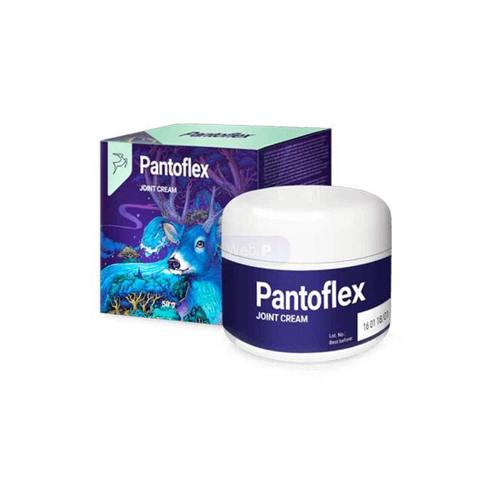 Pantoflex - জয়েন্টগুলির জন্য ক্রিম গুলবার্গে